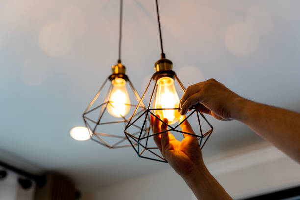 Best Licensed Electrician  in Gregory, TX