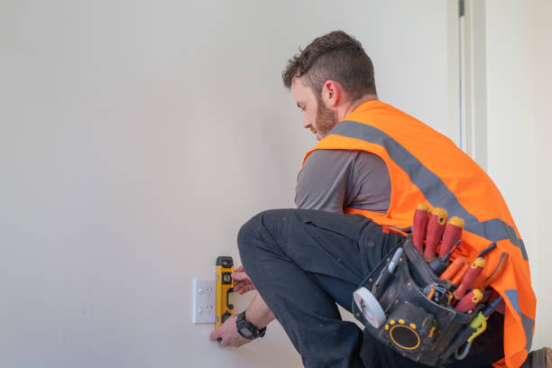 Best Electric Panel Repair  in Gregory, TX